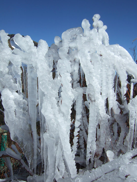 Climate Change & Mountain Ecosystems