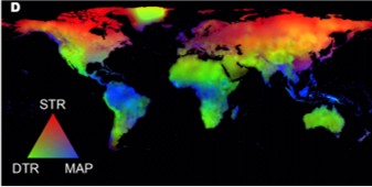 Seasonal and daily climate variation have opposite effects on species elevational range size